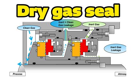 compressor seal testing|secondary gas seal performance.